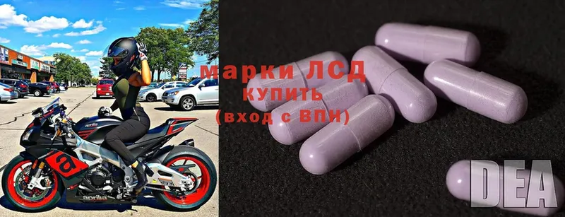 ЛСД экстази ecstasy  Кингисепп 